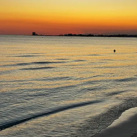 فيلة Casa Olivares