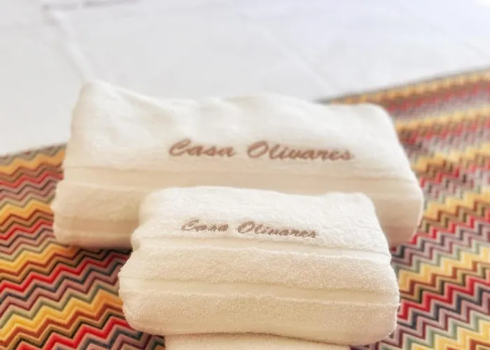 Casa Olivares *